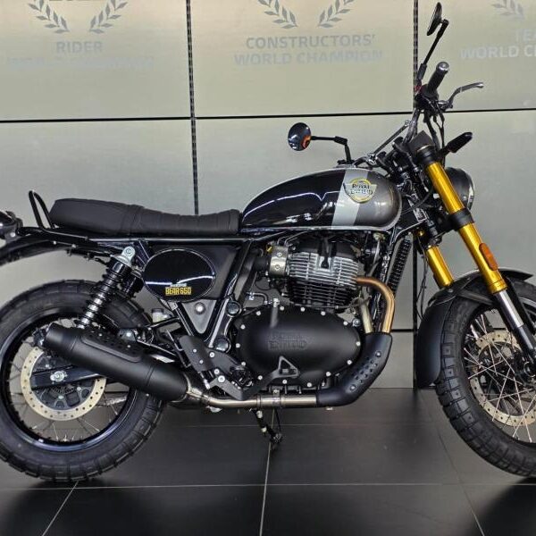 2026 Royal Enfield BEAR