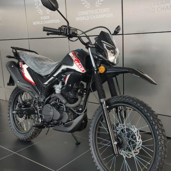 LIFAN X-TRAIL 250